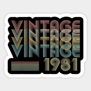 38th Birthday Gift Vintage 1981 Classic Men Women Sticker